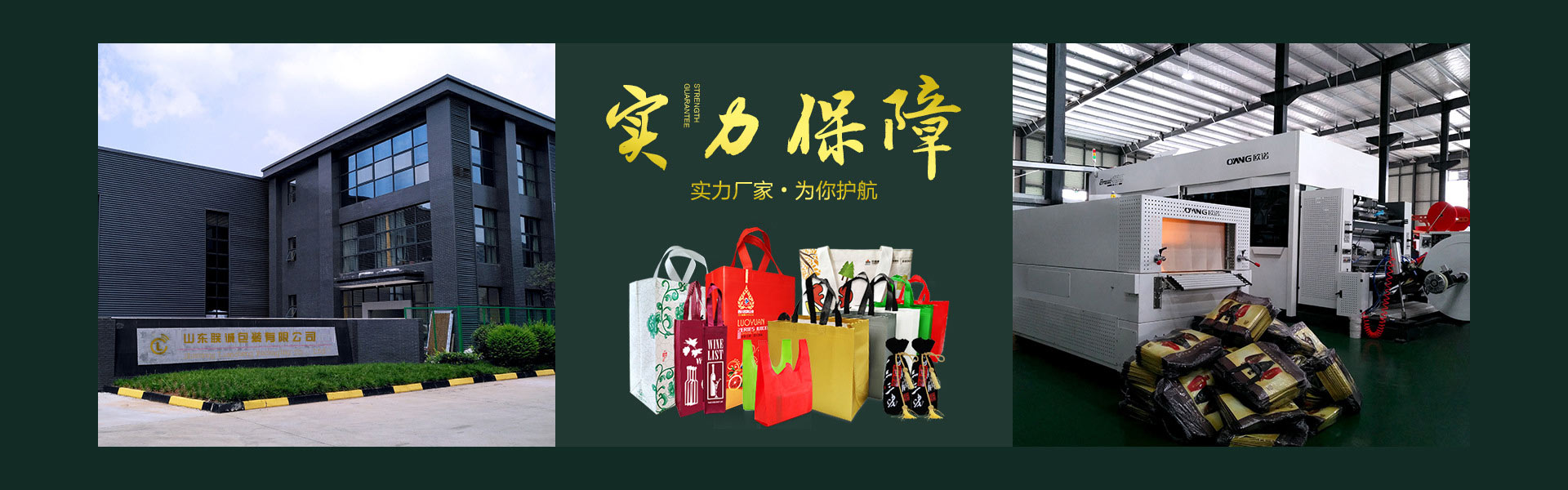無(wú)紡布袋廠(chǎng)